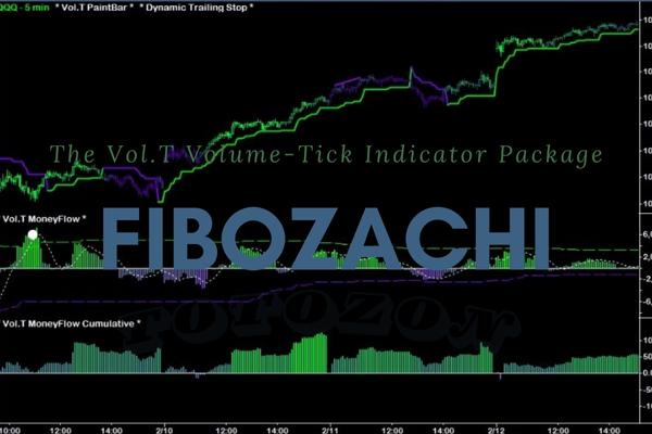 A digital display of the Vol.T Volume Tick Indicator in action showcasing real time trading data 1