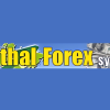 A forex trader analyzing charts, representing the Letal Forex System by Alex Seeni.