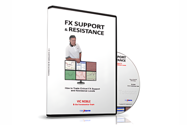 A trader analyzing forex charts using support and resistance levels to make informed trading decisions