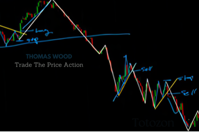 A trader analyzing price action charts using Valuecharts on a computer screen