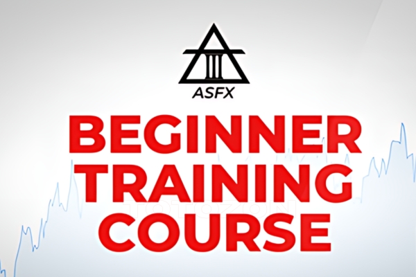 A trader engaged in the ASFX Beginner Training Course, viewing charts and interacting in the VIP chat