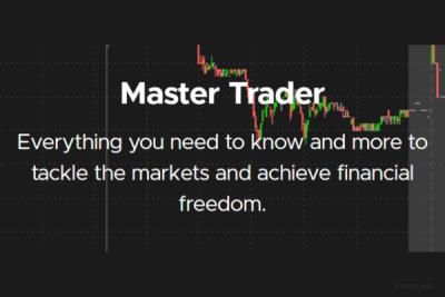 A trader using the InvestingSimple platform, analyzing charts and data