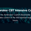 Amibroker CBT Intensive Course with Matt Radtke image