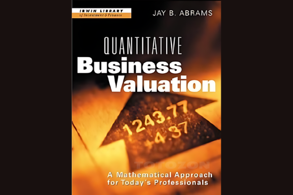 Business analyst working on financial valuation models