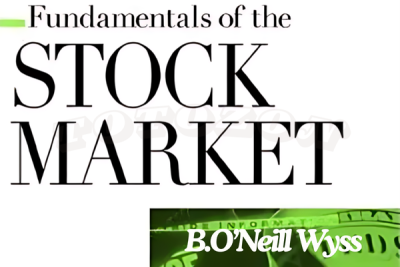 Comprehensive guide to the fundamentals of the stock market with expert analysis.