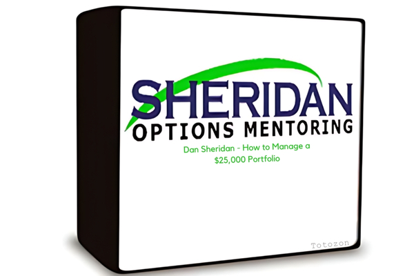 Dan Sheridan mentoring a trader on managing a $25,000 portfolio.