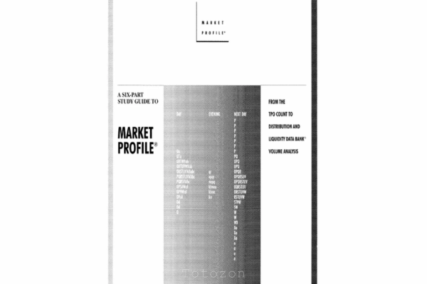 Detailed Market Profile charts displayed on a trader's monitor