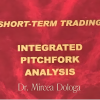 Dr. Mircea Dologa conducting a workshop on Integrated Pitchfork Analysis in a trading seminar