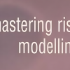 Financial analyst using Excel for risk modeling with data charts and graphs.