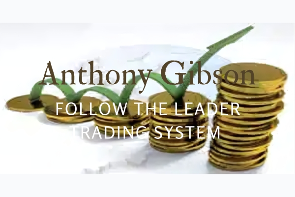 Follow the leader trading strategy with Anthony Gibson, illustrating market leader influence and trading system concepts.