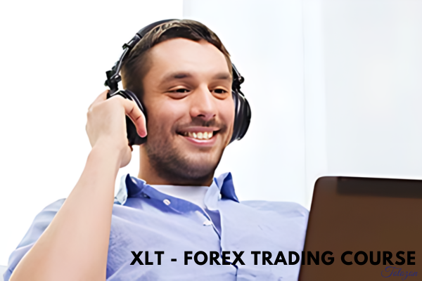 Forex trader analyzing currency charts on a computer screen during a live trading session.