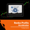 Image of a trader analyzing trends on a computer screen displaying Renko charts with the Renko Profits Accelerator interface.