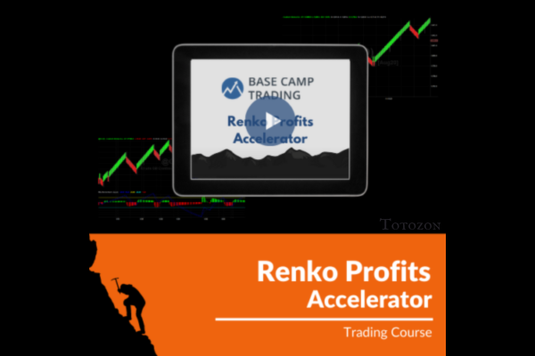 Image of a trader analyzing trends on a computer screen displaying Renko charts with the Renko Profits Accelerator interface.