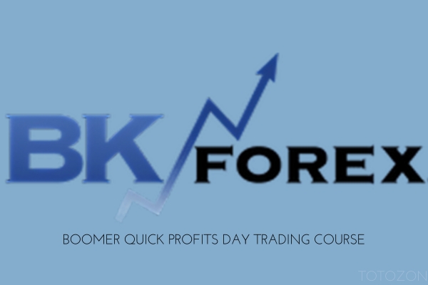 Interactive online dashboard of the Boomer Quick Profits Day Trading Course showing live market analysis and trade execution.