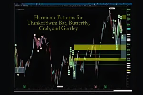 Master harmonic patterns in ThinkorSwim for precise market analysis and improved trading strategies