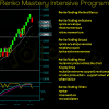 Screenshot of Renko charts being analyzed during a live trading session