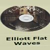 Trader analyzing charts for Elliott Flat Waves patterns