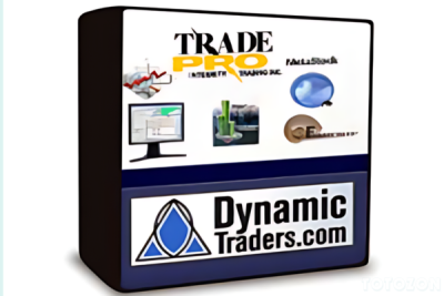 Trader analyzing market data using Dynamic Trader 6 software