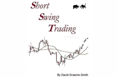 Trader analyzing short swing trading strategies on a computer screen image