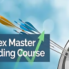 Traders using the Forex Master Trading Course by BKForex for successful trading