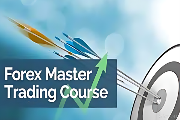 Traders using the Forex Master Trading Course by BKForex for successful trading