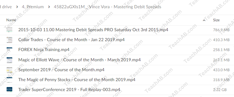 45822uGXIs1M Mastering Debit Spreads By Vince Vora