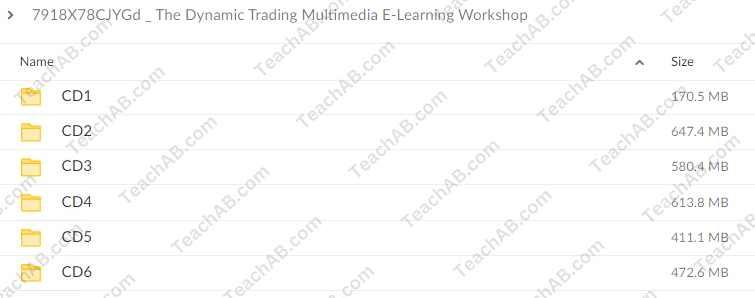 7918X78CJYGd Dynamic Trading Multimedia E Learning Workshop 6 CD