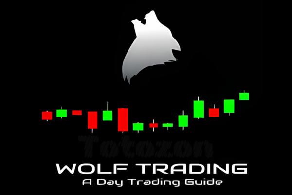 A Day Trading Guide image 600x400