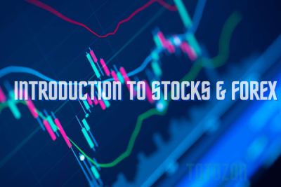 A graph showing stock and forex market trends