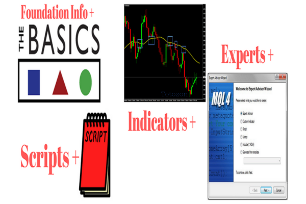 A group of traders engaged in a JimDandy’s MQL4 programming course, learning about MetaTrader 4 and automated trading strategies