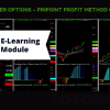 A group of traders participating in a live webinar, analyzing charts and discussing strategies