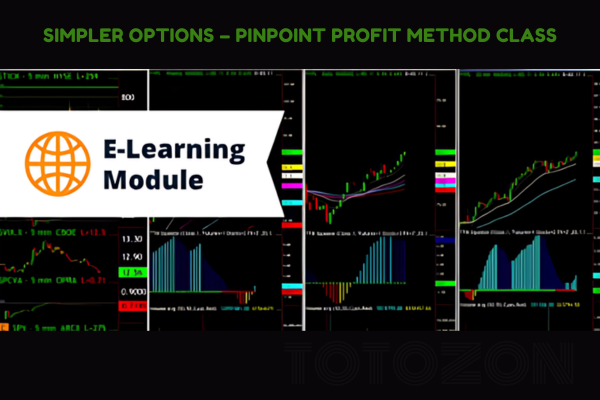 A group of traders participating in a live webinar, analyzing charts and discussing strategies