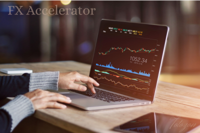 A person analyzing Forex charts on a computer screen