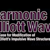 A trader analyzing harmonic Elliott Wave patterns on a computer screen