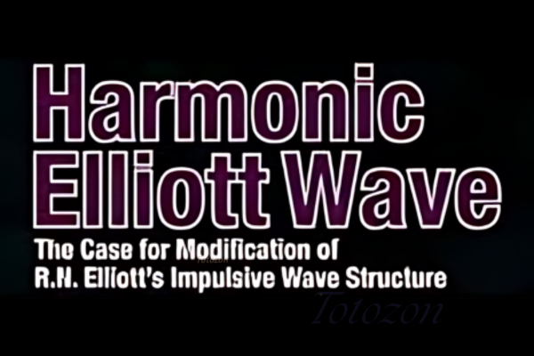 A trader analyzing harmonic Elliott Wave patterns on a computer screen