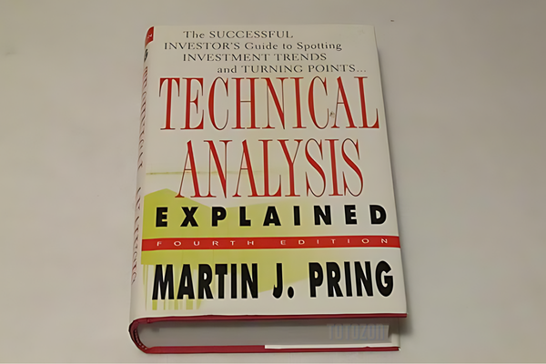 A trader analyzing market trends using Martin Pring's technical analysis tools