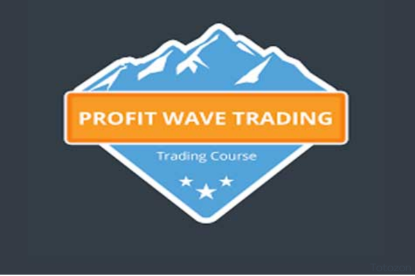 A trader analyzing market trends using the Profit Wave Trade Strategy