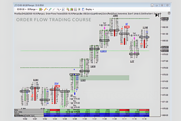 A trader analyzing order flow charts on multiple screens.