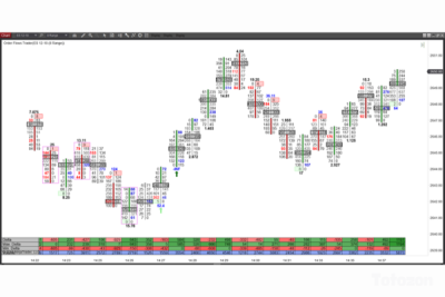 trader analyzing order flow data on a computer screen.