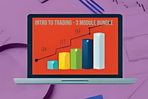 A trader studying the Intro to Trading 3 Module Bundle on a computer screen