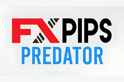 A trader using FX Pips Predator on a computer screen, analyzing forex market signals and charts.