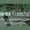 Forex Freedom Course materials and strategies in action