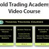 Gold Trading Academy Video Course image 600x400