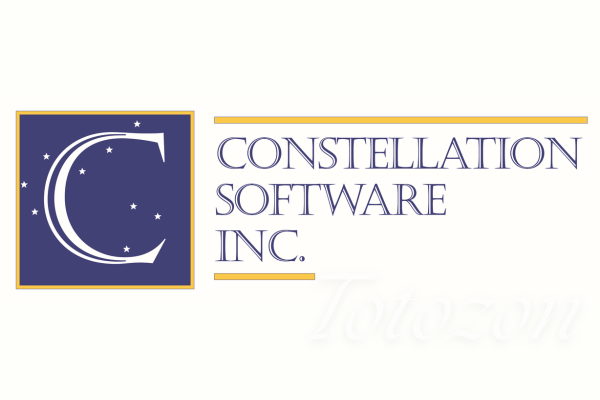 Illustration of Constellation Software Inc.'s growth and acquisition strategy.