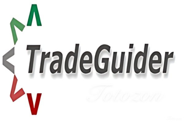 Illustration of a trader using the TradeGuider platform and educational resources. 2 1