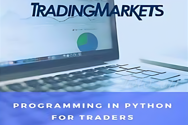 Illustration of traders programming in Python for trading