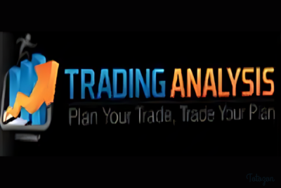 Image showing a trader analyzing charts with Fibonacci retracements and Elliott Wave patterns, representing the synergy of these tools in market analysis