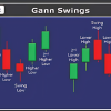 Image showing a trader analyzing swing trading charts on a computer screen, representing the educational content of the Gann Swings Swing Trading Course