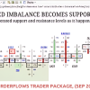 Image showing the OrderFlows Trader Package interface, highlighting its real-time market analysis features