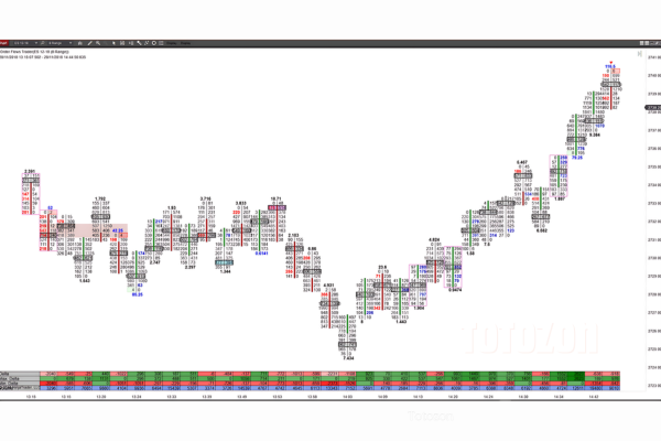 Order Flow With The Power Of Point Of Control Course and The Imbalance image